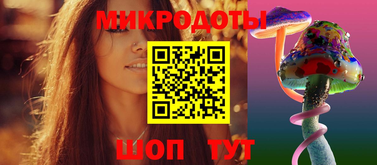 Новошахтинск  Галлюциногенные грибы Psilocybe  Вход с VPN 